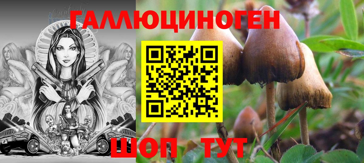 Псилоцибиновые грибы GOLDEN TEACHER  Вход с VPN  Саратов 